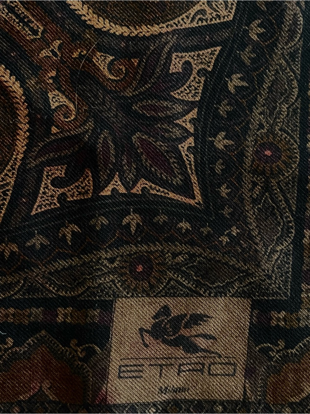 Etro Versatile Shawl